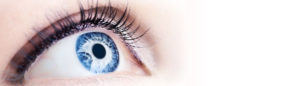 imagen web oftalmos centro oftalmológico madrid